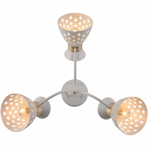 Потолочная люстра 01579-3.3-03 WH+FGD в Нижнем Новгороде фото 4