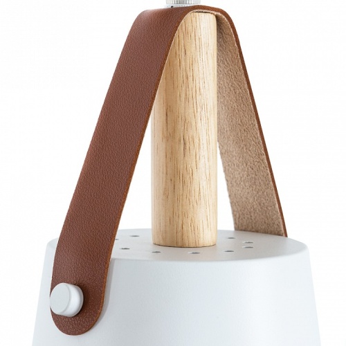 Подвесной светильник Arte Lamp Thomas A7032SP-1WH в Нижнем Новгороде фото 4