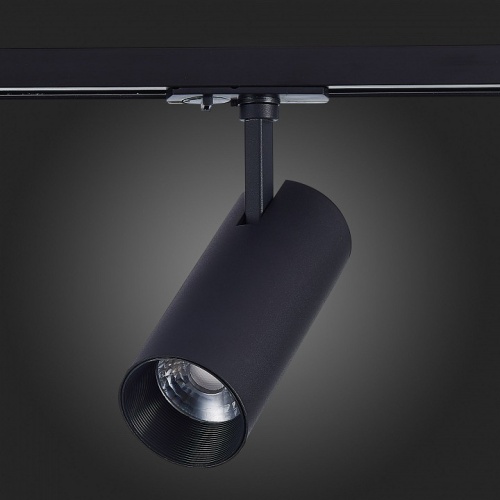 Светильник на штанге ST-Luce Mono ST350.446.20.36 в Нижнем Новгороде фото 3