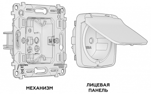 Розетка с заземлением и со шторкой, без рамки с крышкой Ambrella Volt OMEGA MO108010 в Нижнем Новгороде фото 2