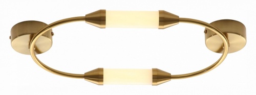 Накладной светильник ST-Luce Olbia SL6004.301.02 в Нижнем Новгороде фото 2