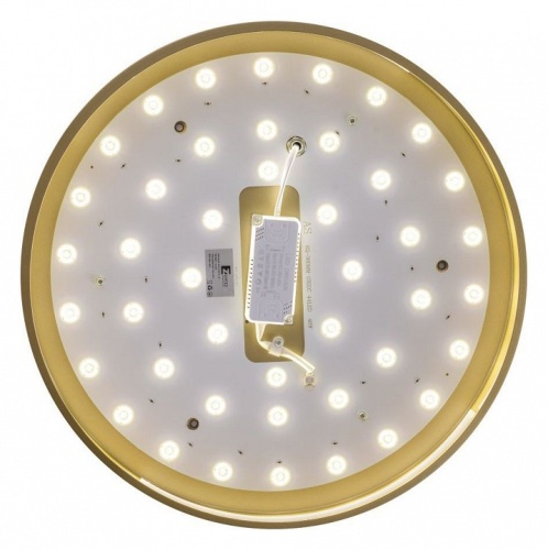 Накладной светильник Zortes Gabby ZRS.90610.40 в Нижнем Новгороде фото 4