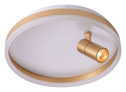 Накладной светильник Zortes Raizy ZRS.1888.04 в Нижнем Новгороде фото 6