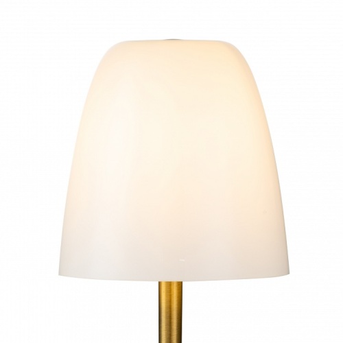 Настольная лампа декоративная Favourite Seta 2961-1T в Заречном фото 4