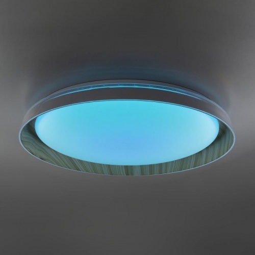 Накладной светильник Citilux MEGA CL752452G в Сургуте фото 7