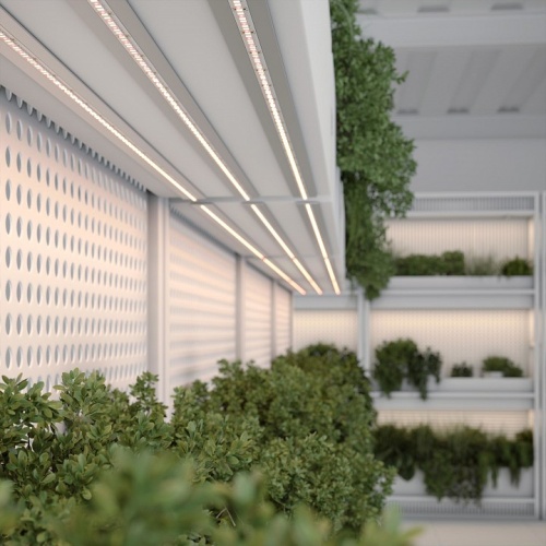 Лента светодиодная Arlight FITOLUX 038170 в Нижнем Новгороде фото 2