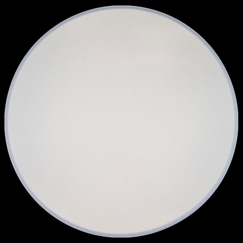 Накладной светильник Loft it Axel 1 10002/48 White в Нижнем Новгороде фото 2