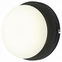 Накладной светильник Escada METEOR 10273/1LED Black в Нижнем Новгороде