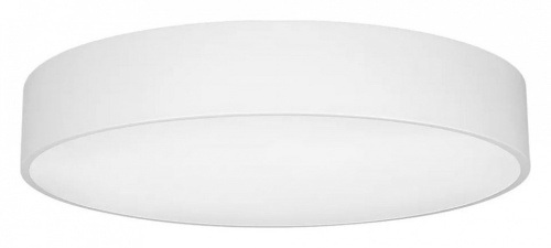 Накладной светильник Arlight TOR PILL 022130(3) в Нижнем Новгороде