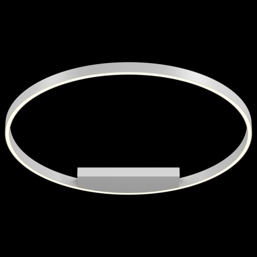 Накладной светильник Maytoni Rim MOD058CL-L50W4K в Нижнем Новгороде фото 3