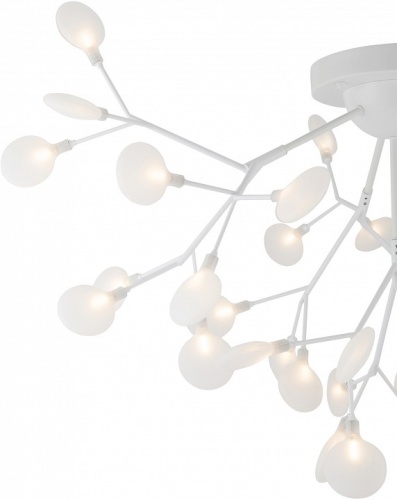 Потолочная люстра Freya Florencia FR5049CL-36W1 в Нижнем Новгороде фото 2