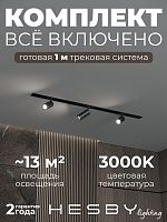 Комплект трековый Hesby Lighting Skylite №3 HSBL_kompl_S003_VI1B3K в Нижнем Новгороде