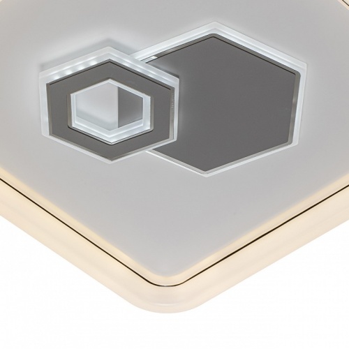 Накладной светильник Escada 10219 10219/SG LED в Нижнем Новгороде фото 2