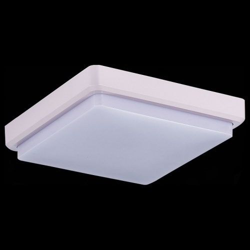 Накладной светильник EVOLUCE Taddio SLE200212-01 в Нижнем Новгороде фото 6