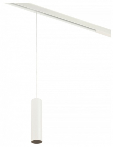 Подвесной светильник MyFar Ray MT0221-20W3K-S-W в Нижнем Новгороде