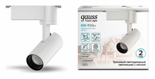 Светильник на штанге Gauss TR TR075 в Нижнем Новгороде фото 3