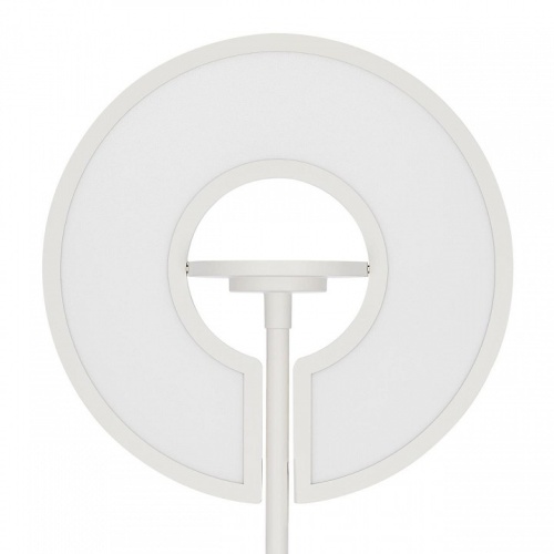 Торшер Citilux LOONG CL810030 в Нижнем Новгороде фото 9