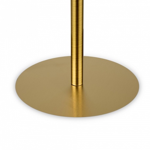 Настольная лампа декоративная Freya Sharlot FR1012TL-01BS в Нижнем Новгороде фото 3