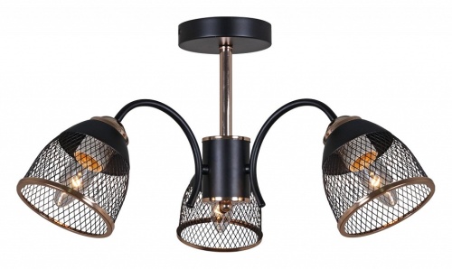 Люстра на штанге 01505-0.3-03 BK+FGD в Нижнем Новгороде