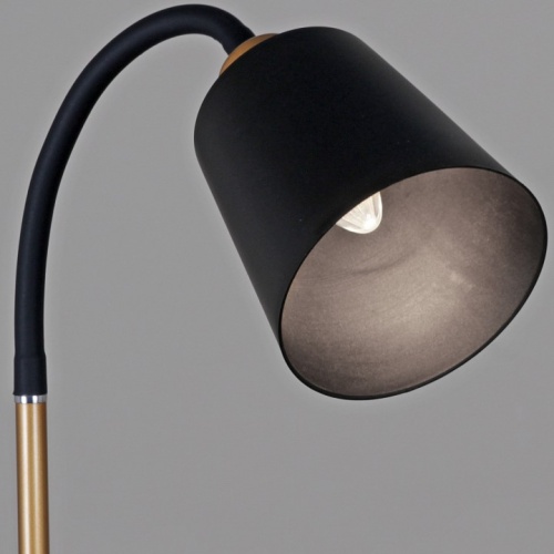 Торшер 00301-0.6-01D BK в Нижнем Новгороде фото 2