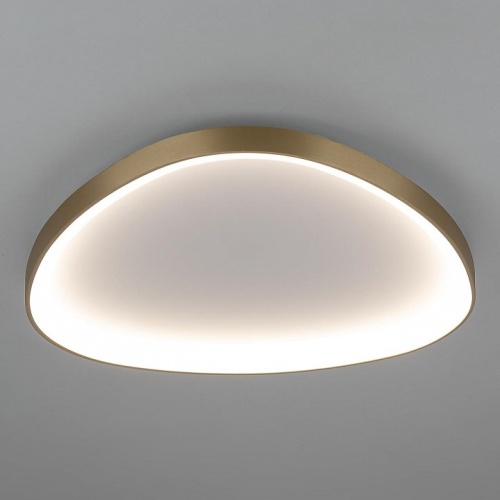 Накладной светильник Citilux GENKA SMART CL756A162 в Нижнем Новгороде фото 5