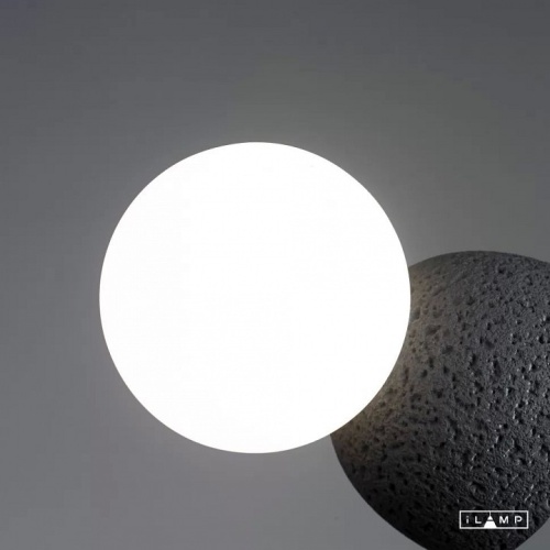 Накладной светильник iLamp Foxtrot 10695W/1-D100 BK-WH в Нижнем Новгороде фото 3