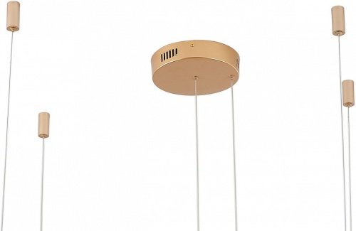 Подвесной светильник Zortes Ringolight ZRS.33320.63F в Нижнем Новгороде фото 8