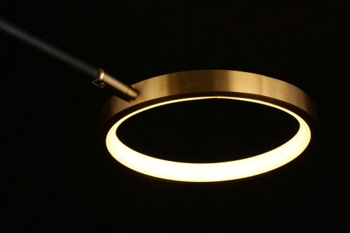 Потолочная люстра Aployt Ines APL.043.07.65 в Нижнем Новгороде фото 4