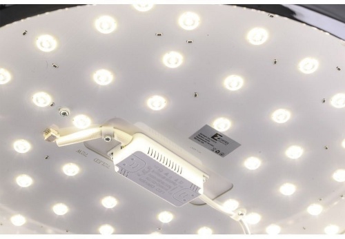 Накладной светильник Zortes Monna ZRS.1209.12 в Нижнем Новгороде фото 11