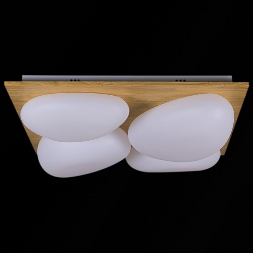 Потолочная люстра 10010-0.3-80W AEROLITE в Нижнем Новгороде фото 2