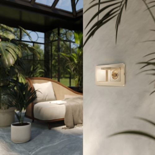 Розетка с заземлением и со шторкой, без рамки с крышкой Werkel шампань W1171211 в Нижнем Новгороде фото 2