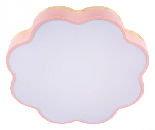 Накладной светильник Loft it Axel 10225/36 Pink в Нижнем Новгороде фото 6