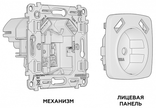 Розетка с заземлением и 2хUSB type A, без рамки Ambrella Volt OMEGA MO109010 в Нижнем Новгороде фото 2