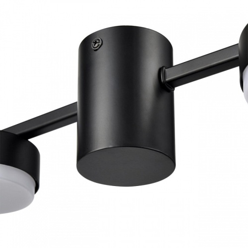 Накладной светильник Lumion Sanata 8187/6C в Нижнем Новгороде фото 2