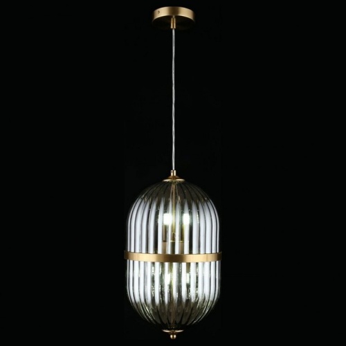 Подвесной светильник Aployt Ludovica APL.860.06.06 в Нижнем Новгороде фото 3