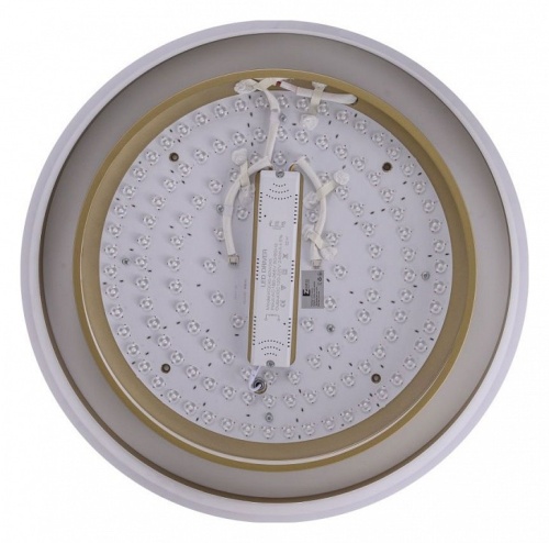 Накладной светильник Zortes Adel ZRS.1200.01 в Нижнем Новгороде фото 6