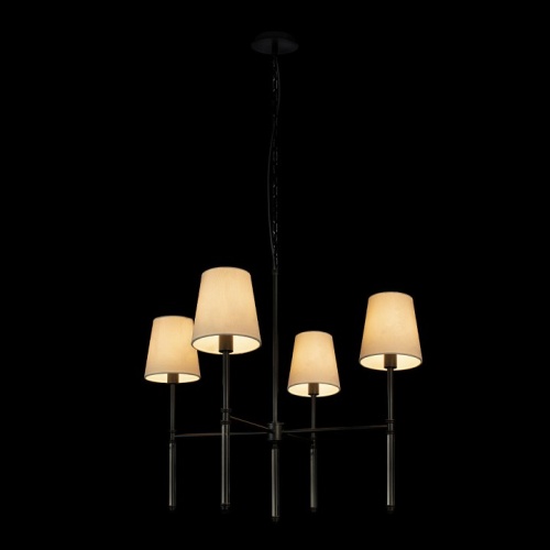 Подвесная люстра Loft it Cosy 10308 Black в Нижнем Новгороде фото 4