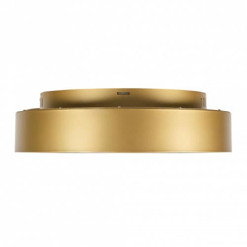 Накладной светильник MyFar Shannon MR2195-1PL в Нижнем Новгороде фото 4