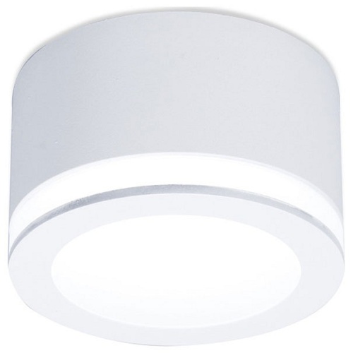 Накладной светильник Ambrella Light TN TN265 в Нижнем Новгороде