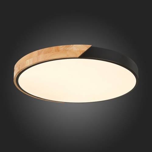 Накладной светильник EVOLUCE Festa SLE200942-01 в Нижнем Новгороде фото 10