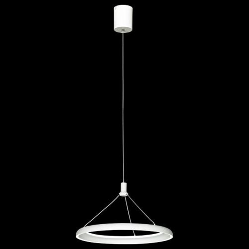 Подвесной светильник Lussole HARDIN LSP-7425 в Нижнем Новгороде фото 6