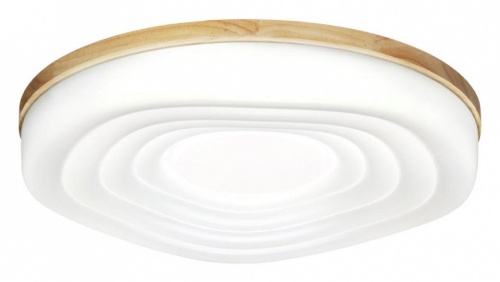 Накладной светильник Sonex Fass Wood 7674/DL в Нижнем Новгороде фото 5