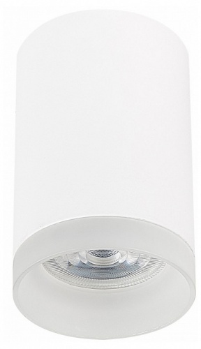 Накладной светильник ST-Luce ST100 ST100.502.01 в Кропоткине
