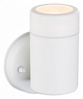 Светильник на штанге Globo Cotopa 32004-1 в Нижнем Новгороде