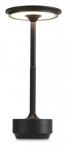 Настольная лампа декоративная Aployt Markel APL.064.24.05 в Нижнем Новгороде