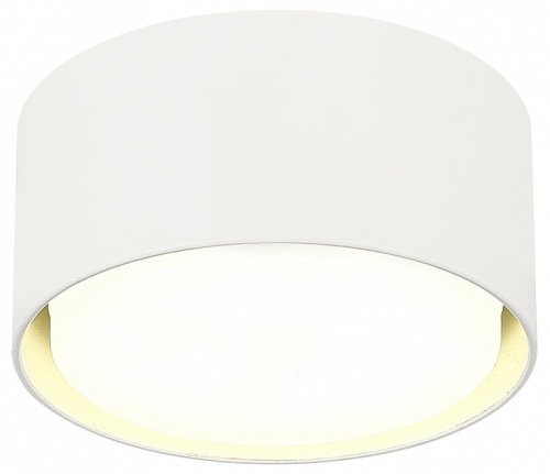 Накладной светильник ST-Luce ST164 ST164.502.01 в Нижнем Новгороде фото 2