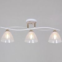 Люстра на штанге  73460-0.3-03 WH+FG в Нижнем Новгороде