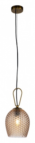 Подвесной светильник Indigo Armonia 11001/1P Brass в Ртищево фото 4