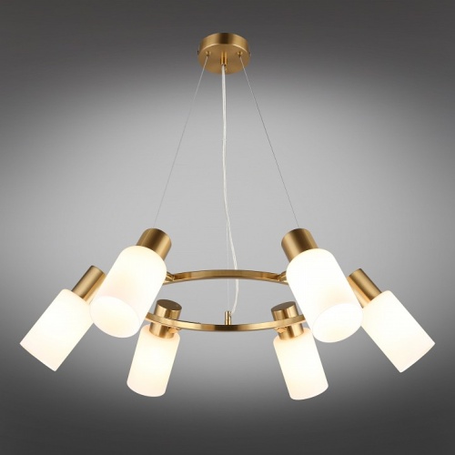 Подвесная люстра Omnilux Ales OML-69103-06 в Нижнем Новгороде фото 10