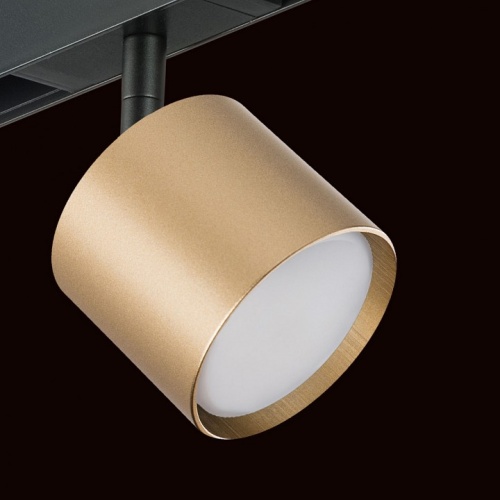 Светильник на штанге Lightstar Rullo PRO3490 в Нижнем Новгороде фото 2